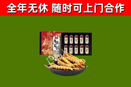 厦门回收冬虫夏草价格